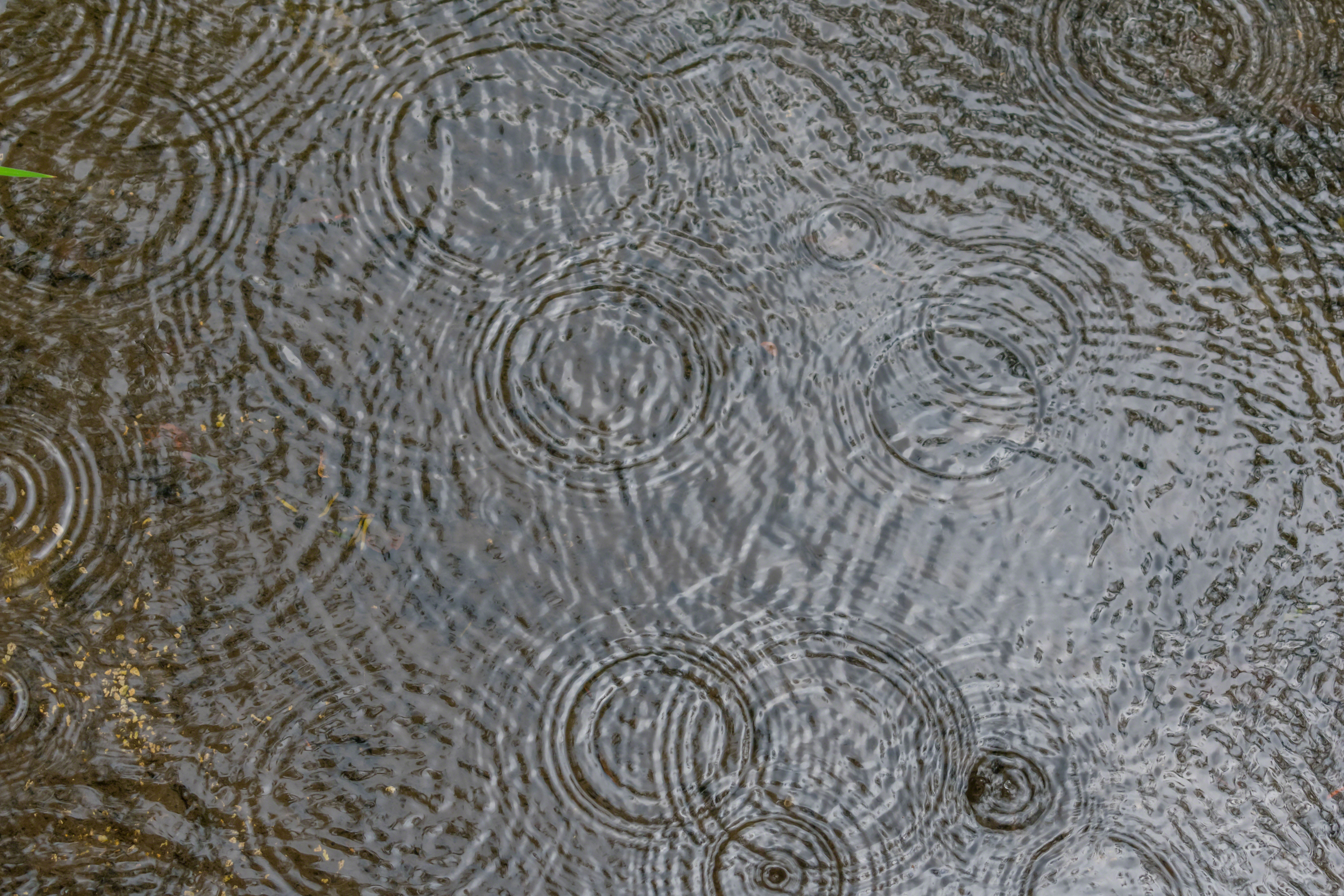 Ripples of Water by Kristen / Adobe Stock Photo