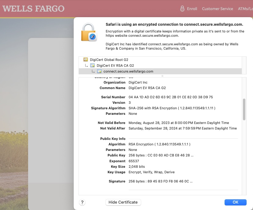 Wells Fargo Screenshot